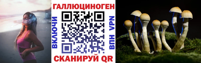 Галлюциногенные грибы Psilocybe  Купить где  Грязи 